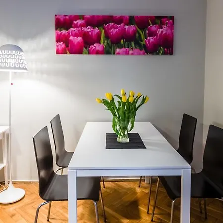 塞雷诺公寓 公寓 *